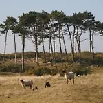 8883 In Strandnaehe By Interhome Hébergement de vacances