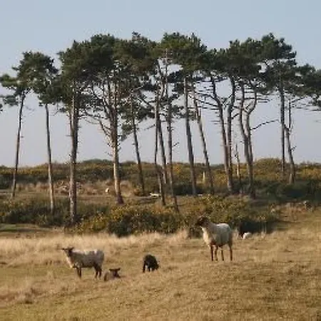 8883 In Strandnaehe By Interhome Dom wakacyjny