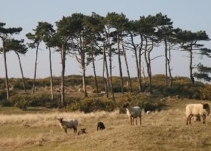 8883 In Strandnaehe By Interhome Dom wakacyjny