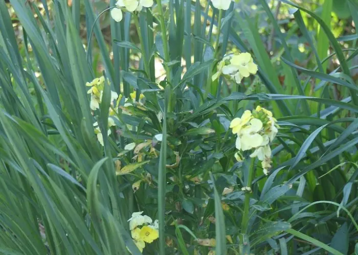 8883 In Strandnaehe By Interhome Anneville-sur-Mer