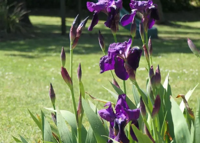 8883 In Strandnaehe By Interhome Dom wakacyjny *